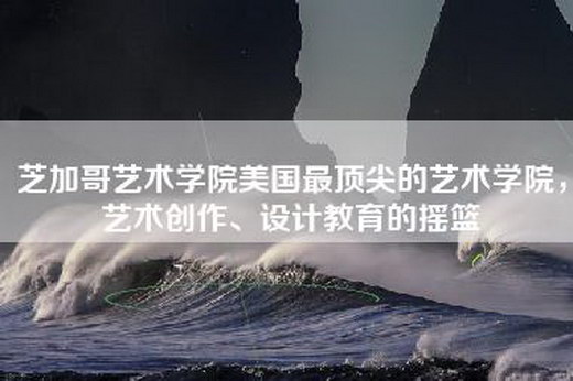 芝加哥艺术学院美国最顶尖的艺术学院，艺术创作、设计教育的摇篮