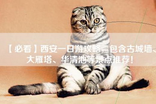 【必看】西安一日游攻略，包含古城墙、大雁塔、华清池等景点推荐！