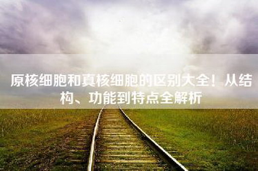 原核细胞和真核细胞的区别大全！从结构、功能到特点全解析