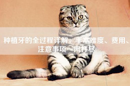 种植牙的全过程详解，手术难度、费用、注意事项一网打尽