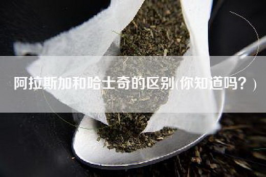 阿拉斯加和哈士奇的区别(你知道吗？)