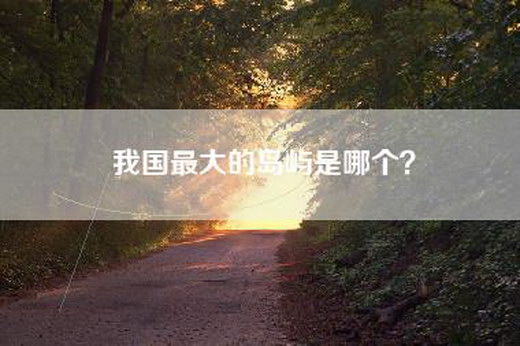 我国最大的岛屿是哪个？