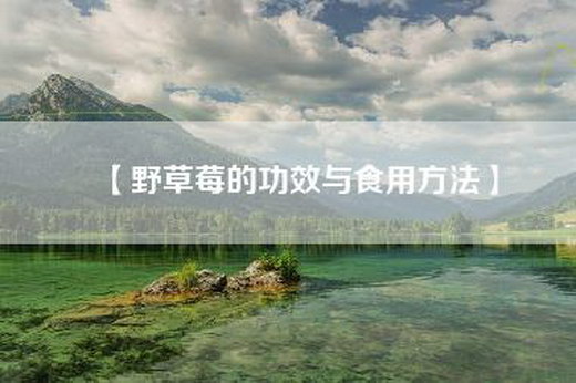 【野草莓的功效与食用方法】