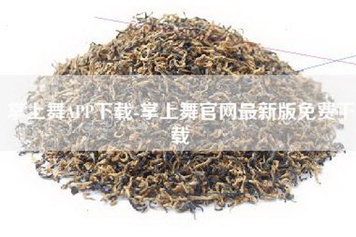 掌上舞APP下载-掌上舞官网最新版免费下载