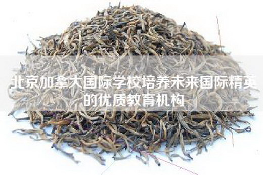 北京加拿大国际学校培养未来国际精英的优质教育机构