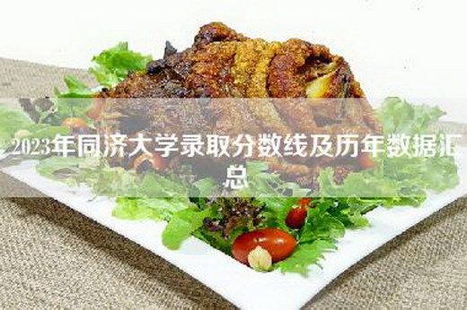 2023年同济大学录取分数线及历年数据汇总
