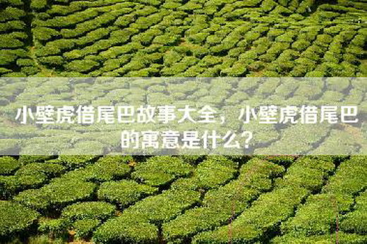 小壁虎借尾巴故事大全，小壁虎借尾巴的寓意是什么？