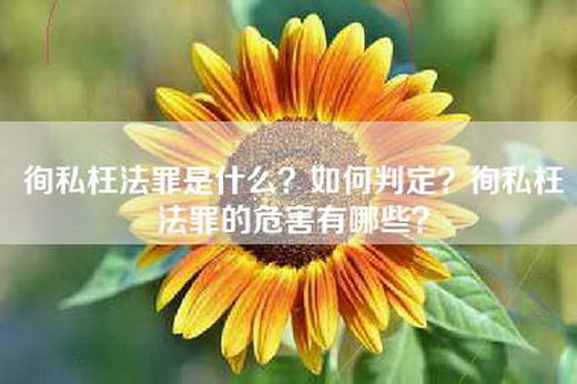 徇私枉法罪是什么？如何判定？徇私枉法罪的危害有哪些？