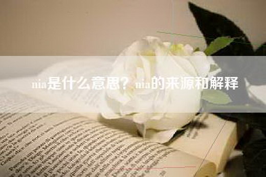 nia是什么意思？nia的来源和解释