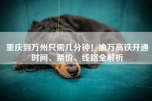 重庆到万州只需几分钟！渝万高铁开通时间、票价、线路全解析