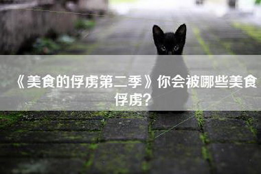 《美食的俘虏第二季》你会被哪些美食俘虏？