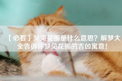 【必看】梦见花圈是什么意思？解梦大全告诉你梦见花圈的吉凶寓意！