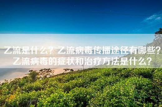 乙流是什么？乙流病毒传播途径有哪些？乙流病毒的症状和治疗方法是什么？