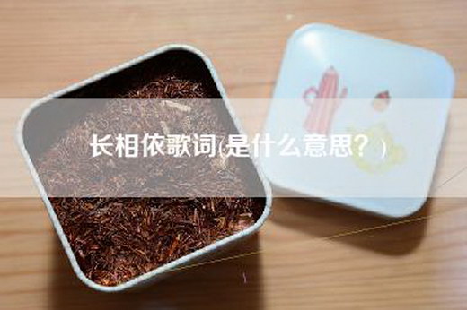 长相依歌词(是什么意思？)