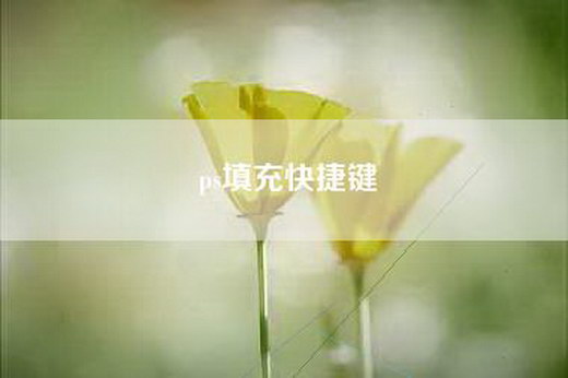 ps填充快捷键