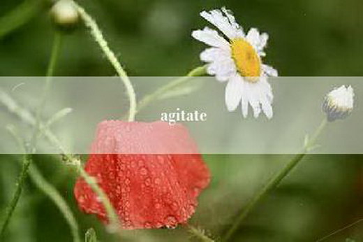 agitate