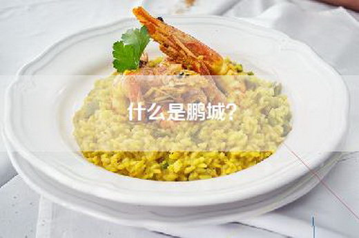 什么是鹏城？