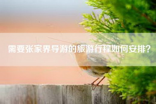 需要张家界导游的旅游行程如何安排？