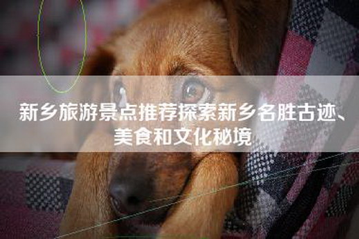 新乡旅游景点推荐探索新乡名胜古迹、美食和文化秘境