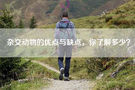 杂交动物的优点与缺点，你了解多少？