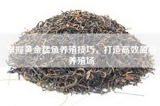 掌握黄金猛鱼养殖技巧，打造高效盈利养殖场