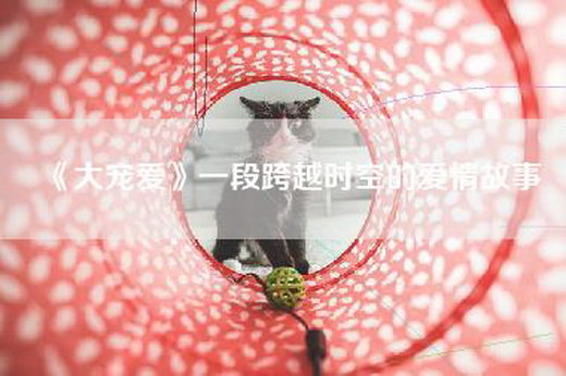 《大宠爱》一段跨越时空的爱情故事