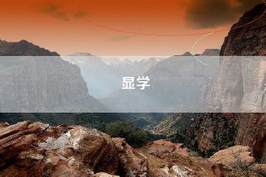 显学