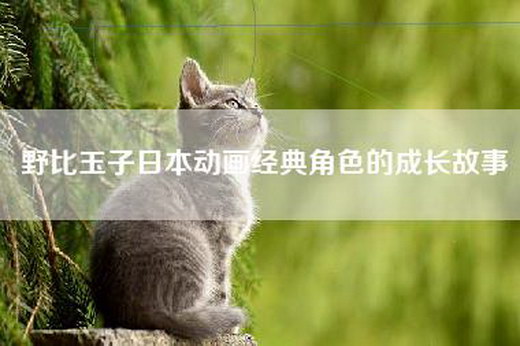 野比玉子日本动画经典角色的成长故事