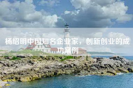 杨绍明中国知名企业家，创新创业的成功案例
