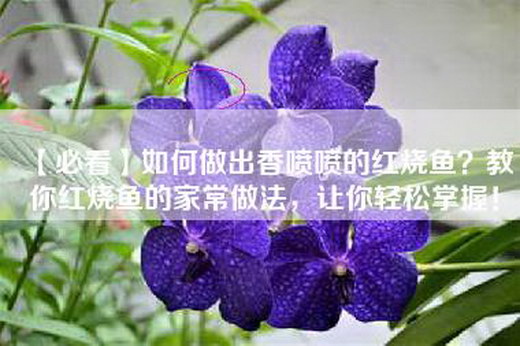 【必看】如何做出香喷喷的红烧鱼？教你红烧鱼的家常做法，让你轻松掌握！