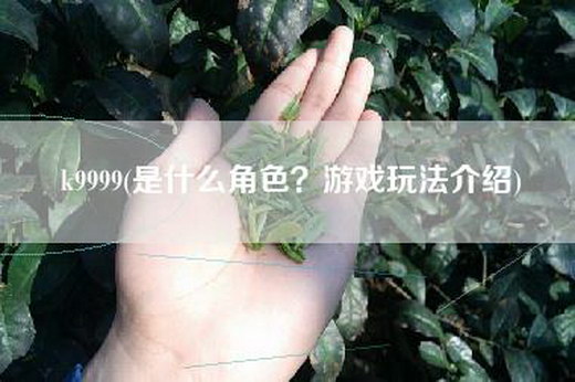 k9999(是什么角色？游戏玩法介绍)