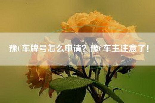 豫C车牌号怎么申请？豫C车主注意了！