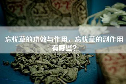 忘忧草的功效与作用，忘忧草的副作用有哪些？