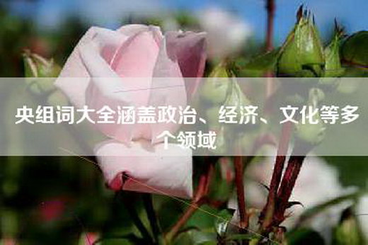 央组词大全涵盖政治、经济、文化等多个领域