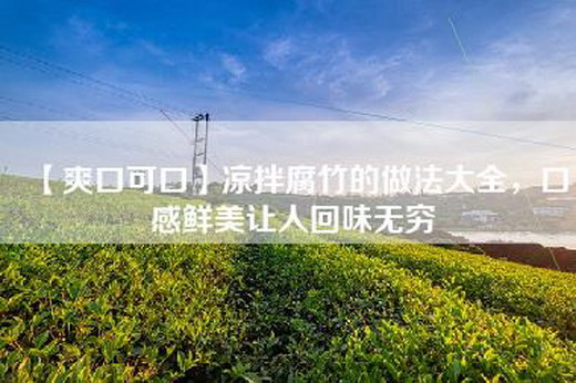 【爽口可口】凉拌腐竹的做法大全，口感鲜美让人回味无穷