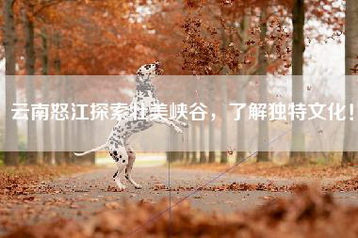 云南怒江探索壮美峡谷，了解独特文化！