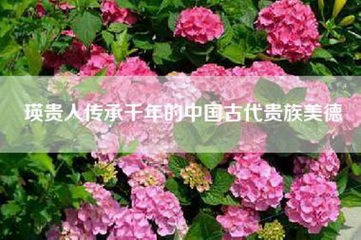 瑛贵人传承千年的中国古代贵族美德