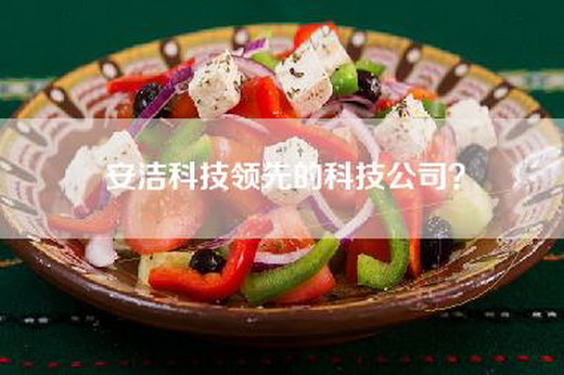安洁科技领先的科技公司？