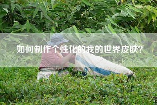 如何制作个性化的我的世界皮肤？