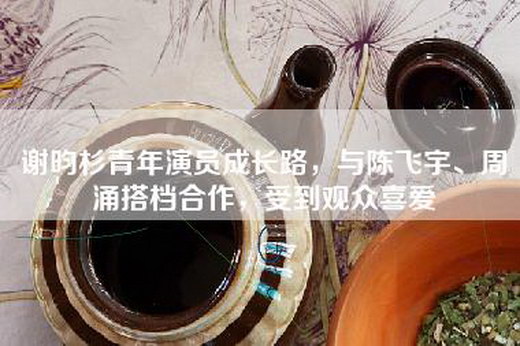 谢昀杉青年演员成长路，与陈飞宇、周涌搭档合作，受到观众喜爱