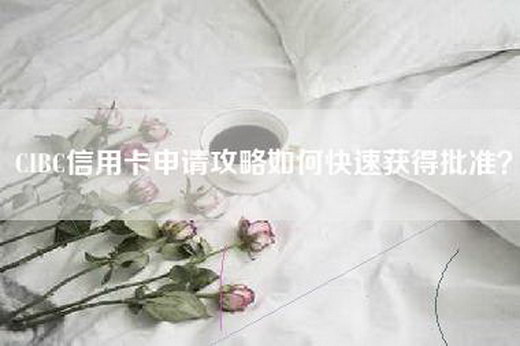 CIBC信用卡申请攻略如何快速获得批准？