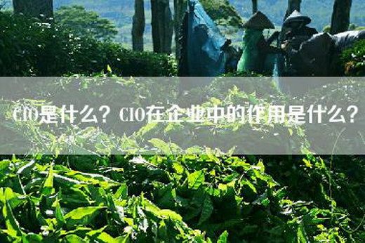 CIO是什么？CIO在企业中的作用是什么？