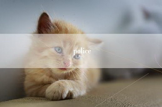 police