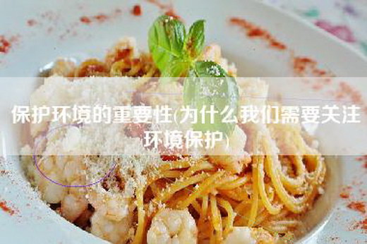 保护环境的重要性(为什么我们需要关注环境保护)
