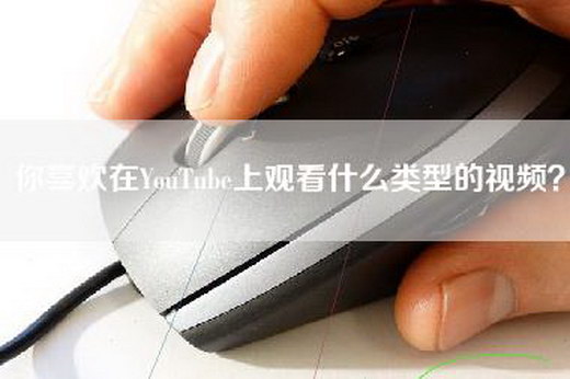 你喜欢在YouTube上观看什么类型的视频？