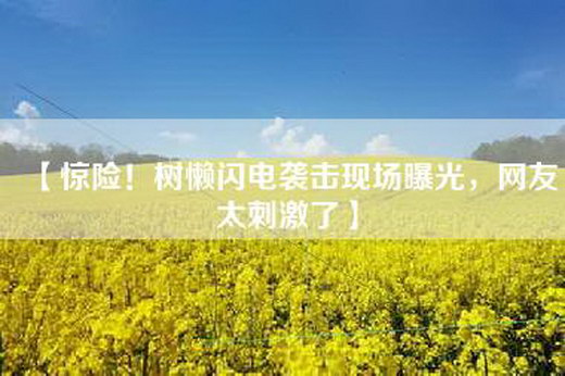 【惊险！树懒闪电袭击现场曝光，网友太刺激了】