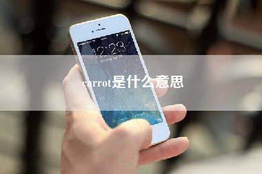 carrot是什么意思