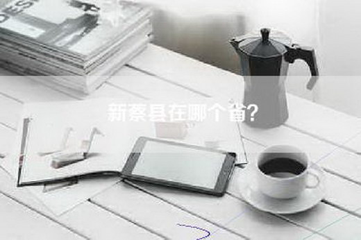 新蔡县在哪个省？