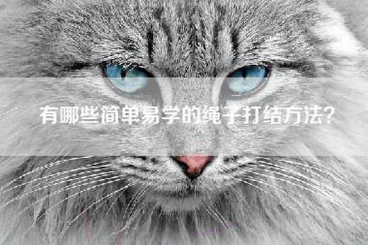 有哪些简单易学的绳子打结方法？