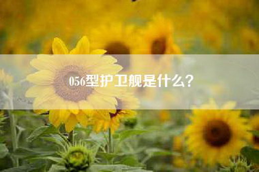 056型护卫舰是什么？